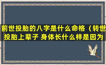 前世投胎的八字是什么命格（转世投胎上辈子 身体长什么样是因为上辈子）